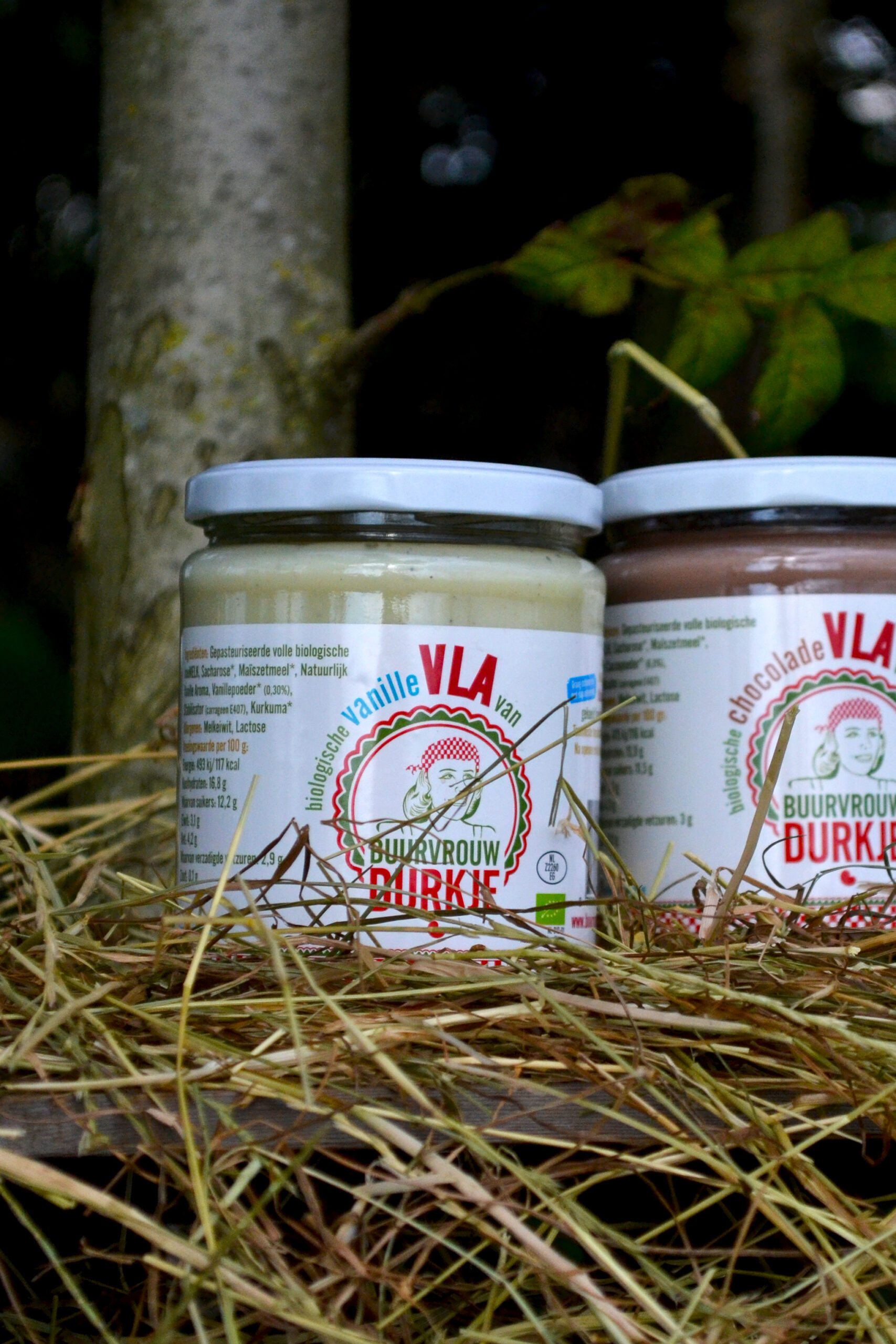buurvrouw-durkje-vanille-choco-vla-klein
